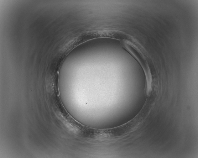 X0000081270593200701181719