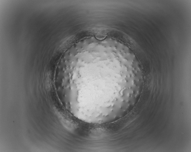X0000081270594200701181719