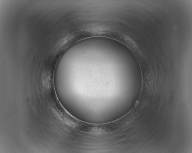X0000081270596200701181719