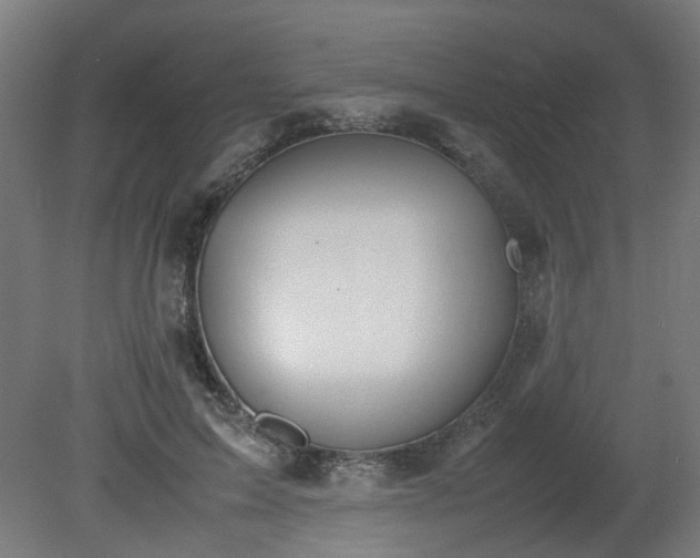 X0000081270599200701181719