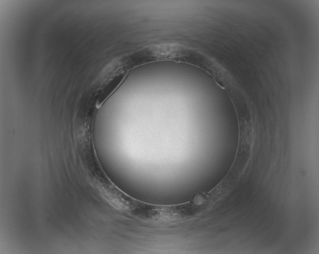 X0000081270601200701181719