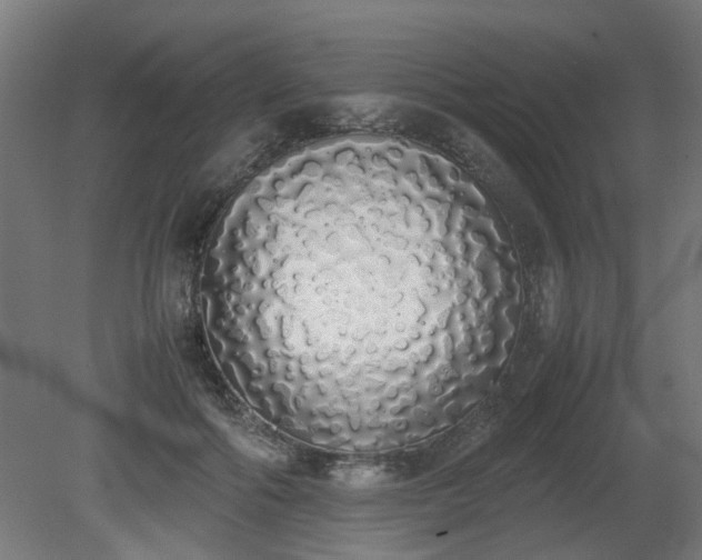 X0000081270602200701181719