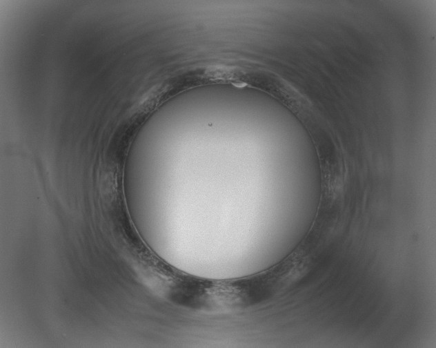 X0000081270603200701181719