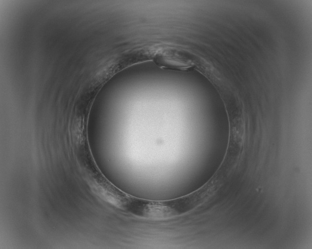 X0000081270605200701181719