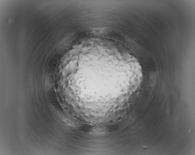 X0000081270606200701181719