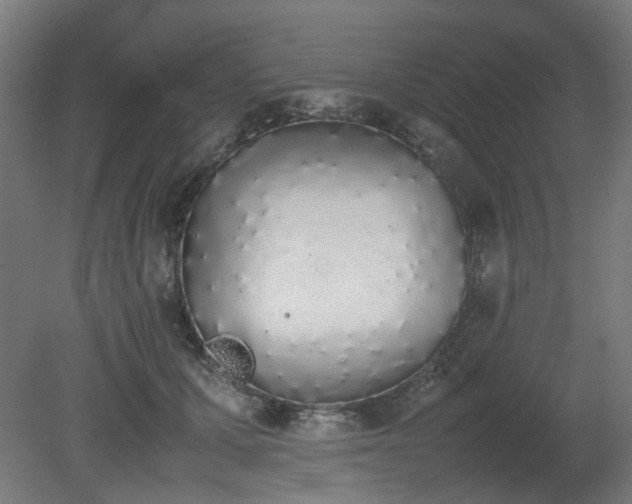 X0000081270607200701181719
