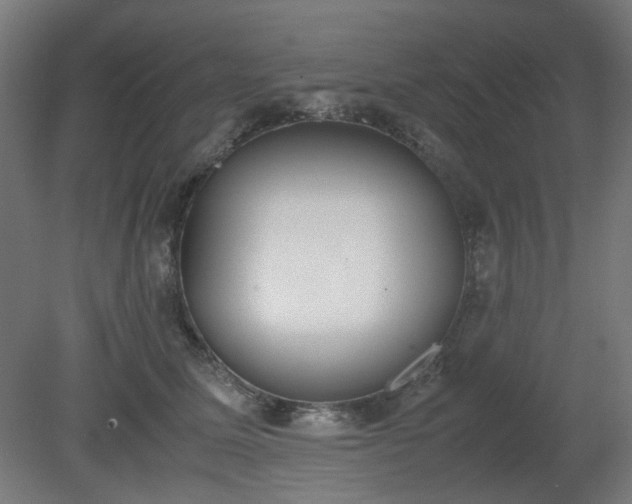 X0000081270611200701181719