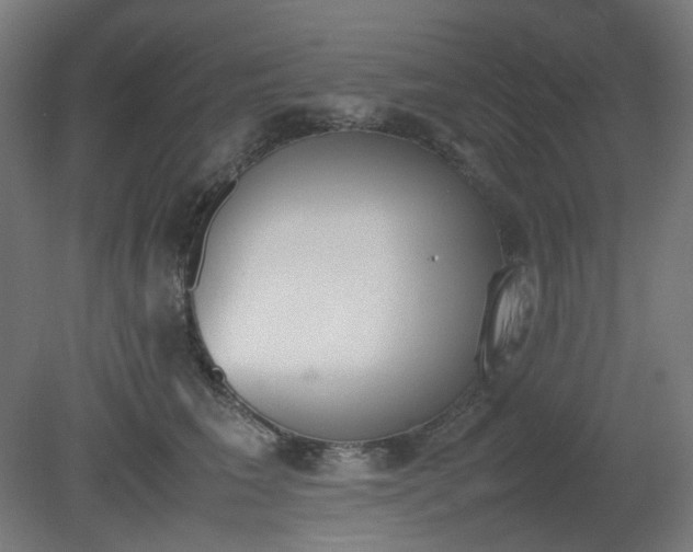 X0000081270613200701181719