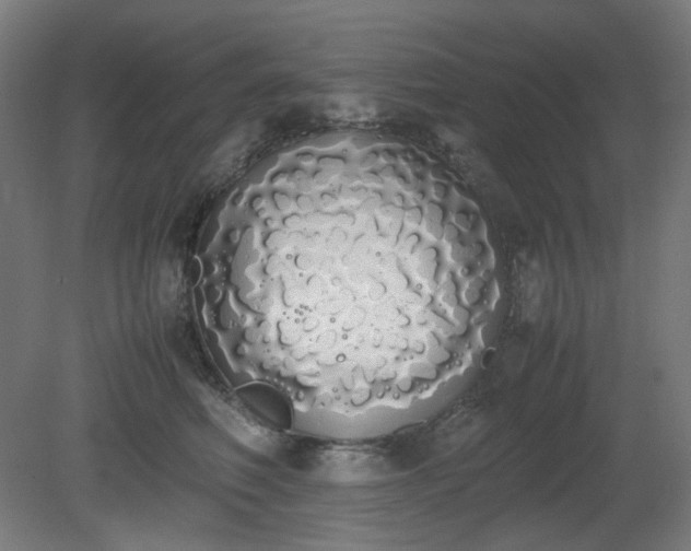 X0000081270614200701181719