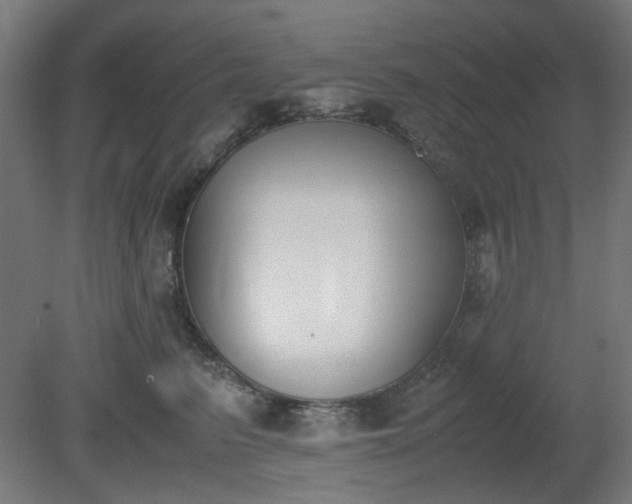 X0000081270615200701181718