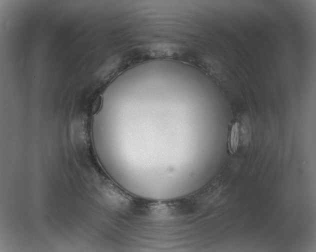 X0000081270616200701181718