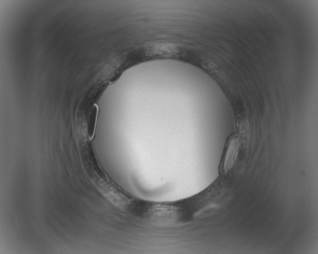 X0000081270617200701181718