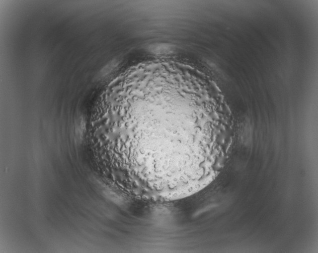 X0000081270618200701181718