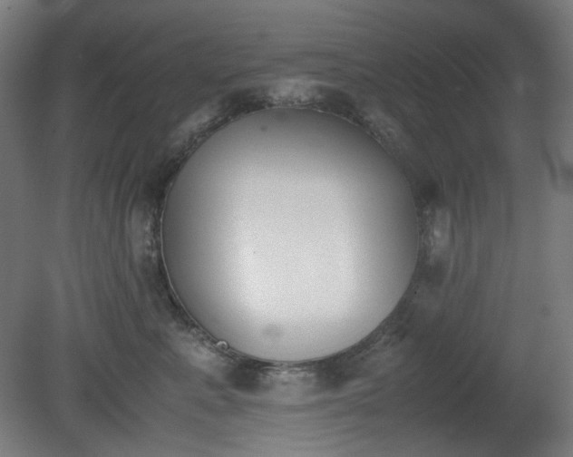 X0000081270619200701181718