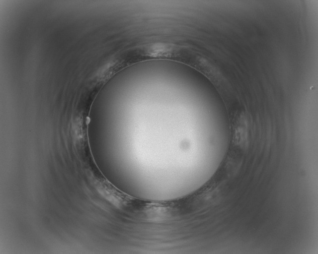 X0000081270620200701181718