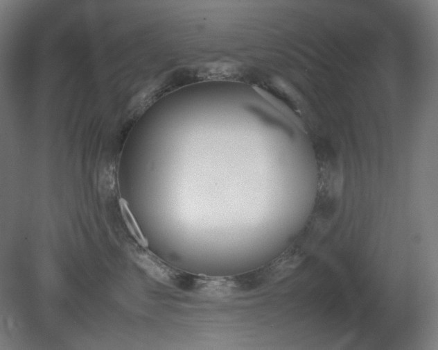 X0000081270621200701181718