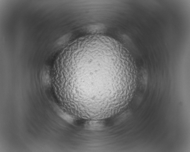 X0000081270622200701181718
