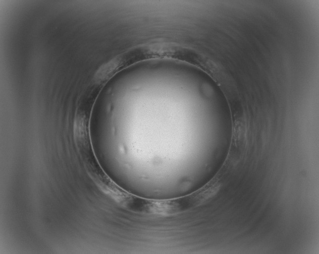 X0000081270623200701181718