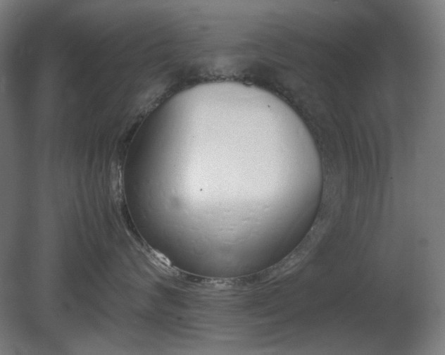 X0000081270624200701181718