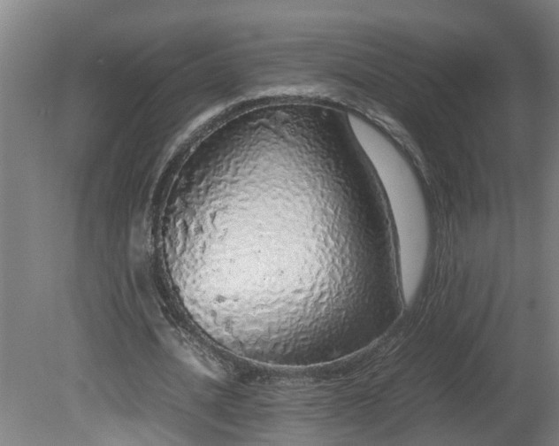 X0000081270628200701181718