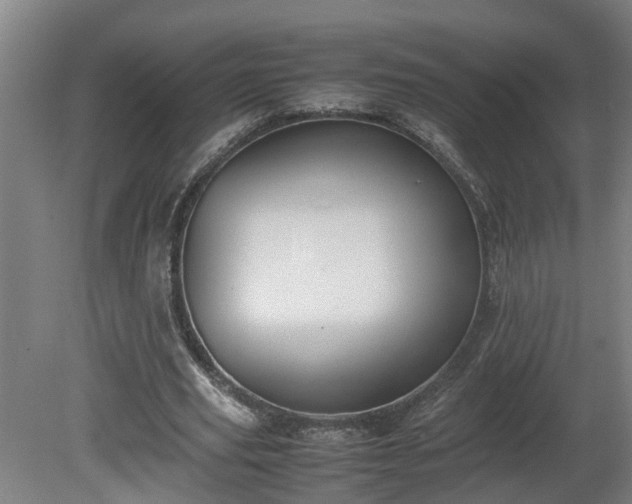 X0000081270629200701181718
