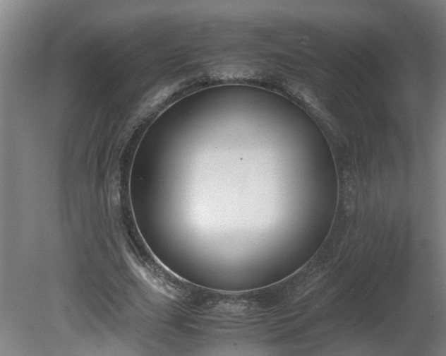 X0000081270631200701181718