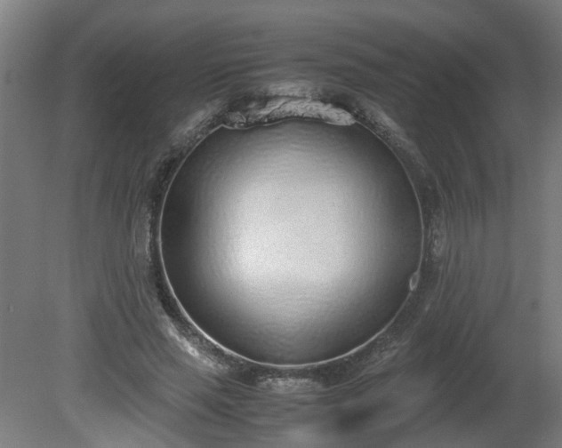 X0000081270637200701181718