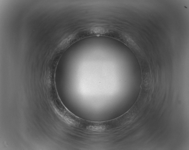 X0000081270639200701181718