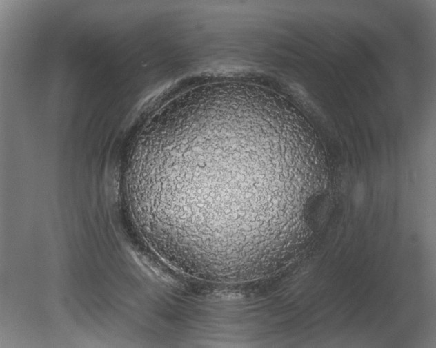 X0000081270640200701181718