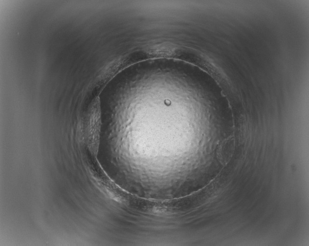 X0000081270641200701181718