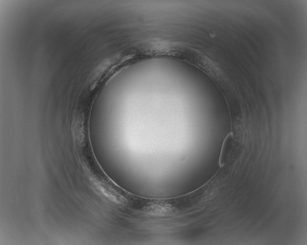 X0000081270642200701181718