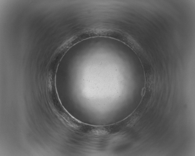 X0000081270644200701181718