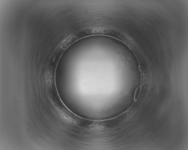 X0000081270648200701181718