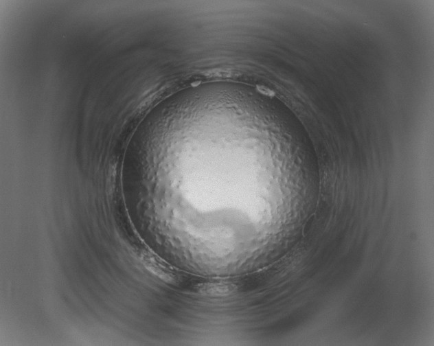 X0000081270652200701181718