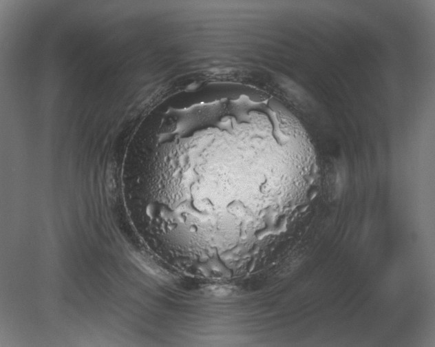 X0000081270654200701181718