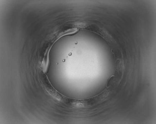 X0000081270655200701181718
