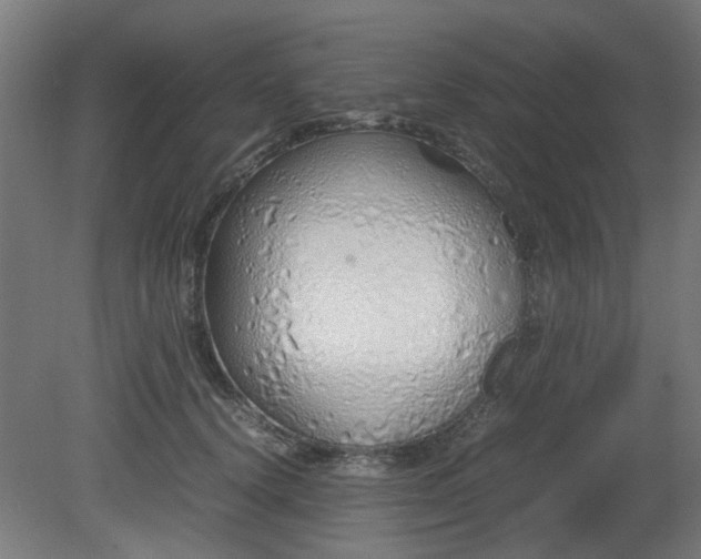 X0000081270656200701181718