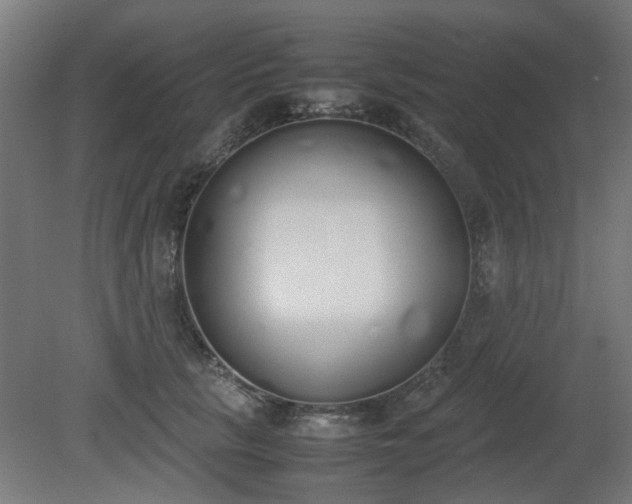 X0000081270657200701181718