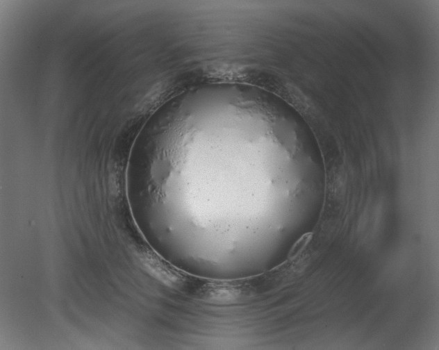 X0000081270658200701181718
