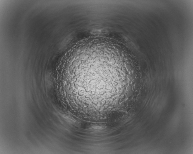 X0000081270659200701181718