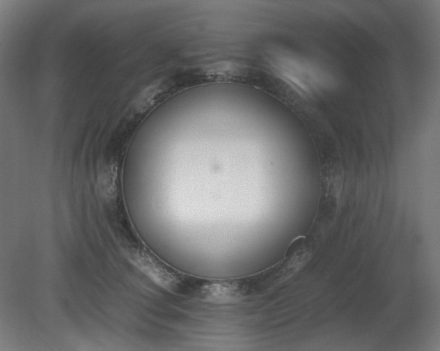 X0000081270660200701181718