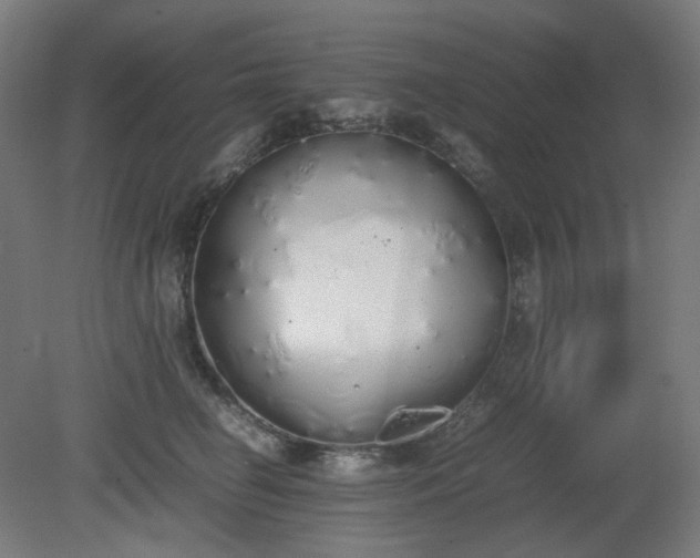 X0000081270662200701181718