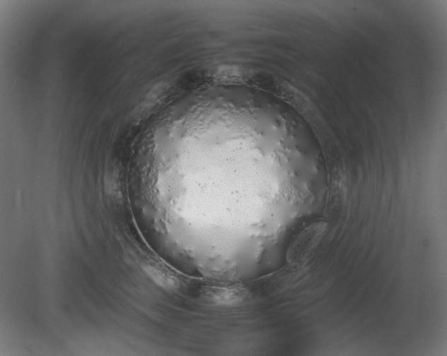 X0000081270663200701181718