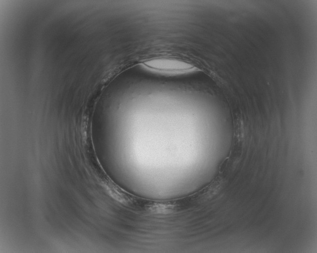 X0000081270664200701181718