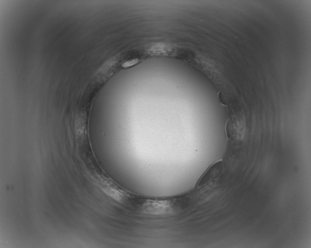 X0000081270665200701181718