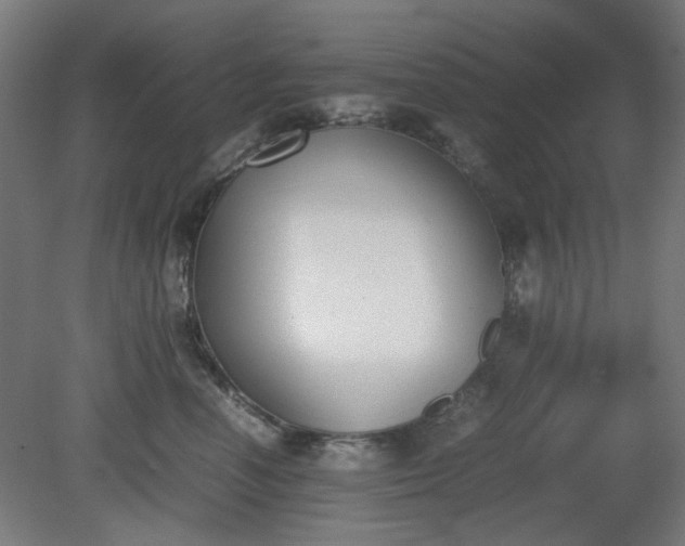 X0000081270666200701181718