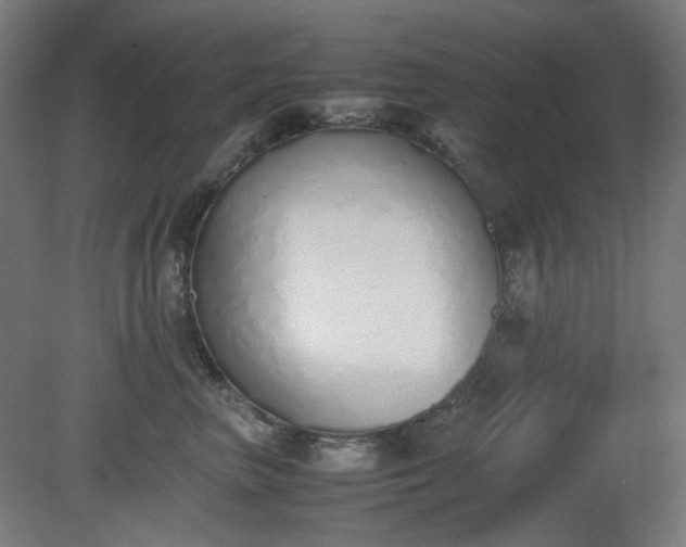 X0000081270667200701181718