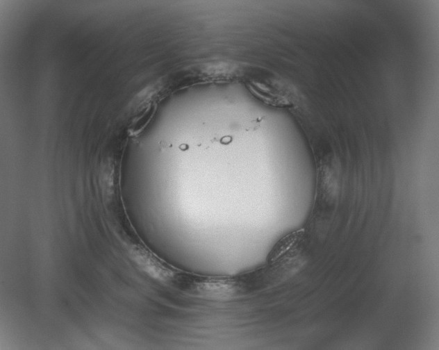 X0000081270668200701181718