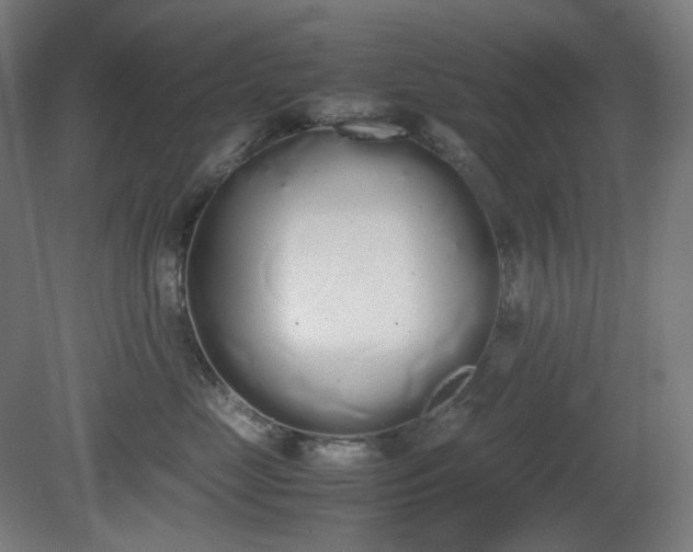 X0000081270669200701181718