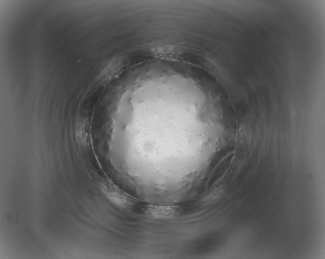 X0000081270671200701181718
